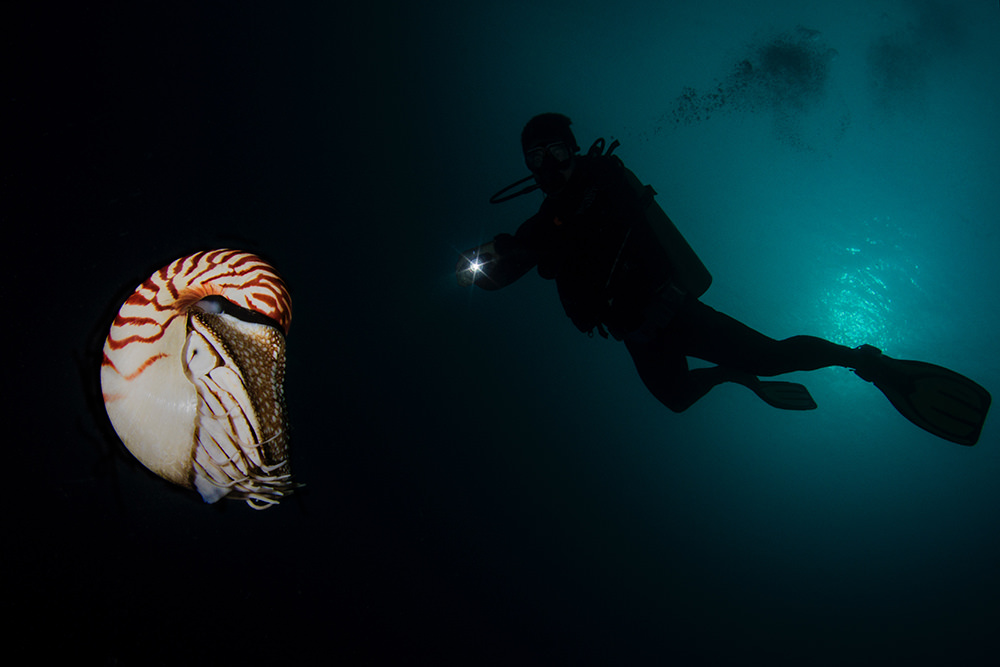 Fotografia Philippines Photographer Spotlight: Bo Mancao, Underwater Photography