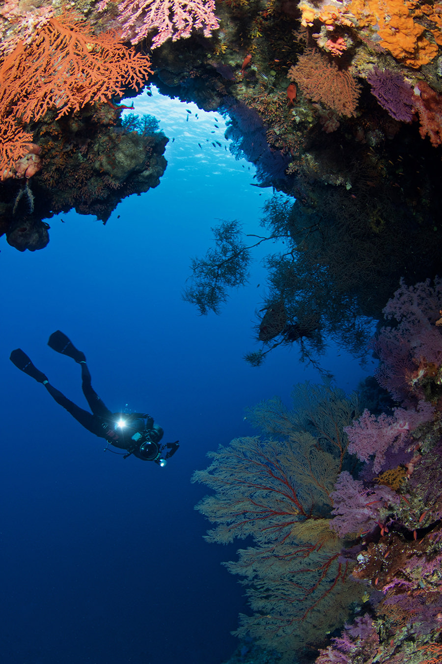 Fotografia Philippines Photographer Spotlight: Bo Mancao, Underwater Photography