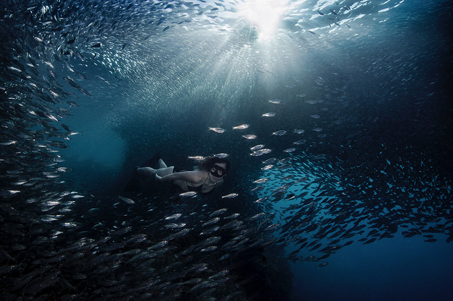 Fotografia Philippines Photographer Spotlight: Bo Mancao, Underwater Photography