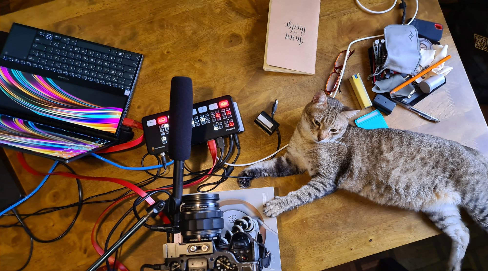 Mobile Photography Share Jason Magbanua featuring his beloved cat Nas Catbanua